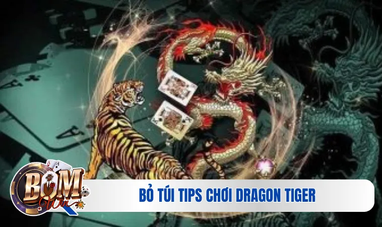 Rồng Hổ - Hướng Dẫn Cách Chơi Chi Tiết Cho Tân Binh 4 Bỏ túi tips chơi dragon tiger