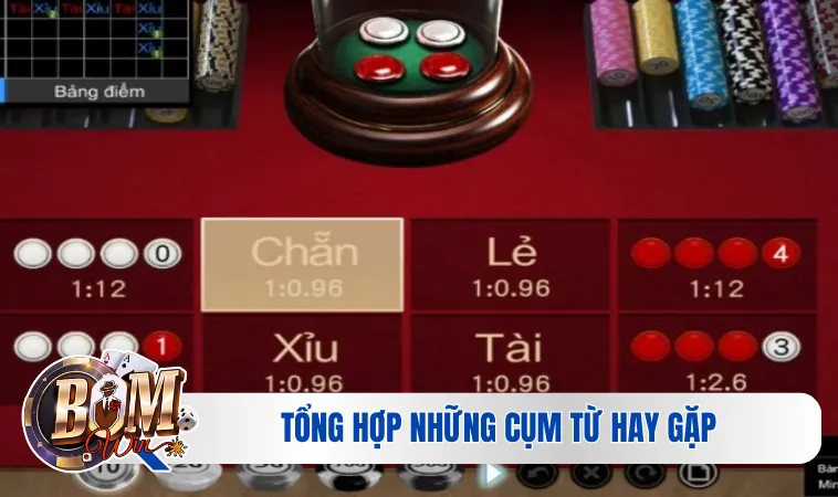 Các Thuật Ngữ Trong Xóc Đĩa Bạn Nên Biết Mới Nhất 4 Tổng hợp những cụm từ hay gặp